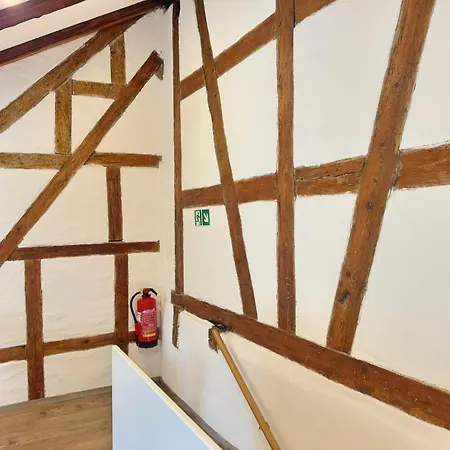 A&y Lakehouse Golden Swan Appartement